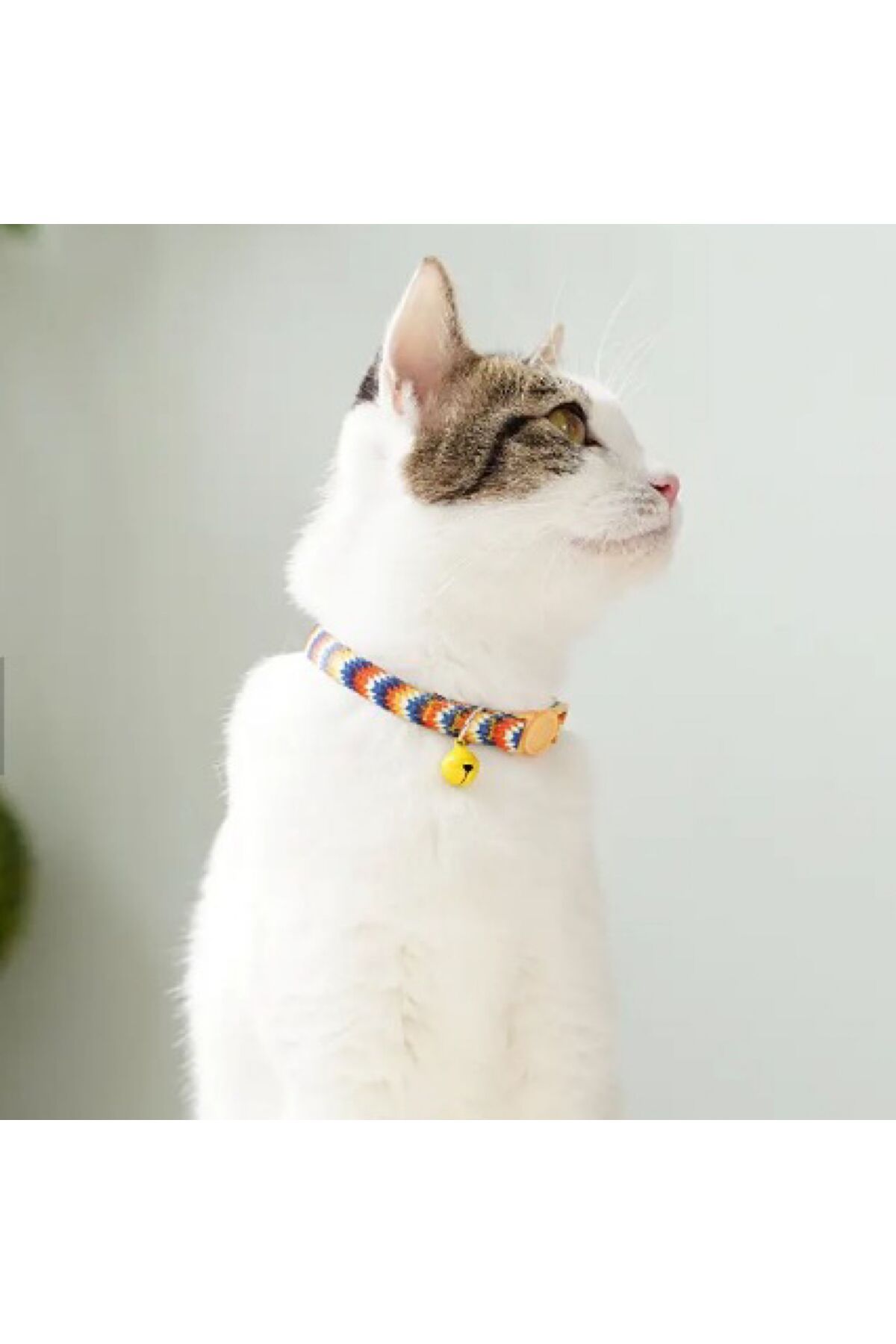 Güvenlik Kilitli Kedi Tasması Küçük Çan İle