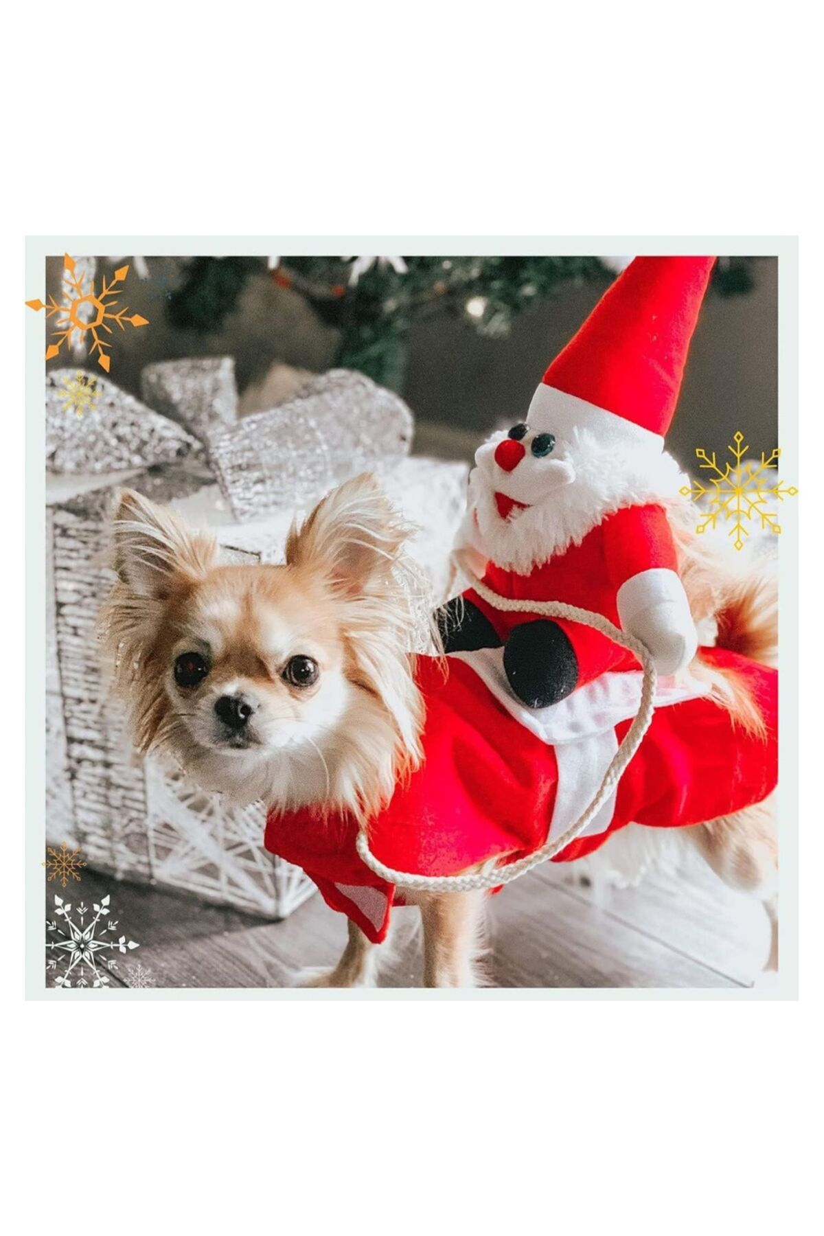 Köpek Kedi Noel Baba Kostümleri