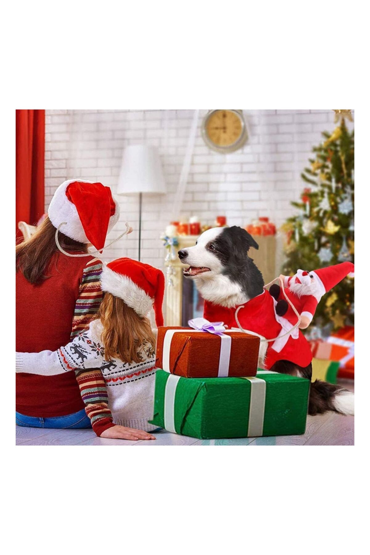 Köpek Kedi Noel Baba Kostümleri küçük resim 4