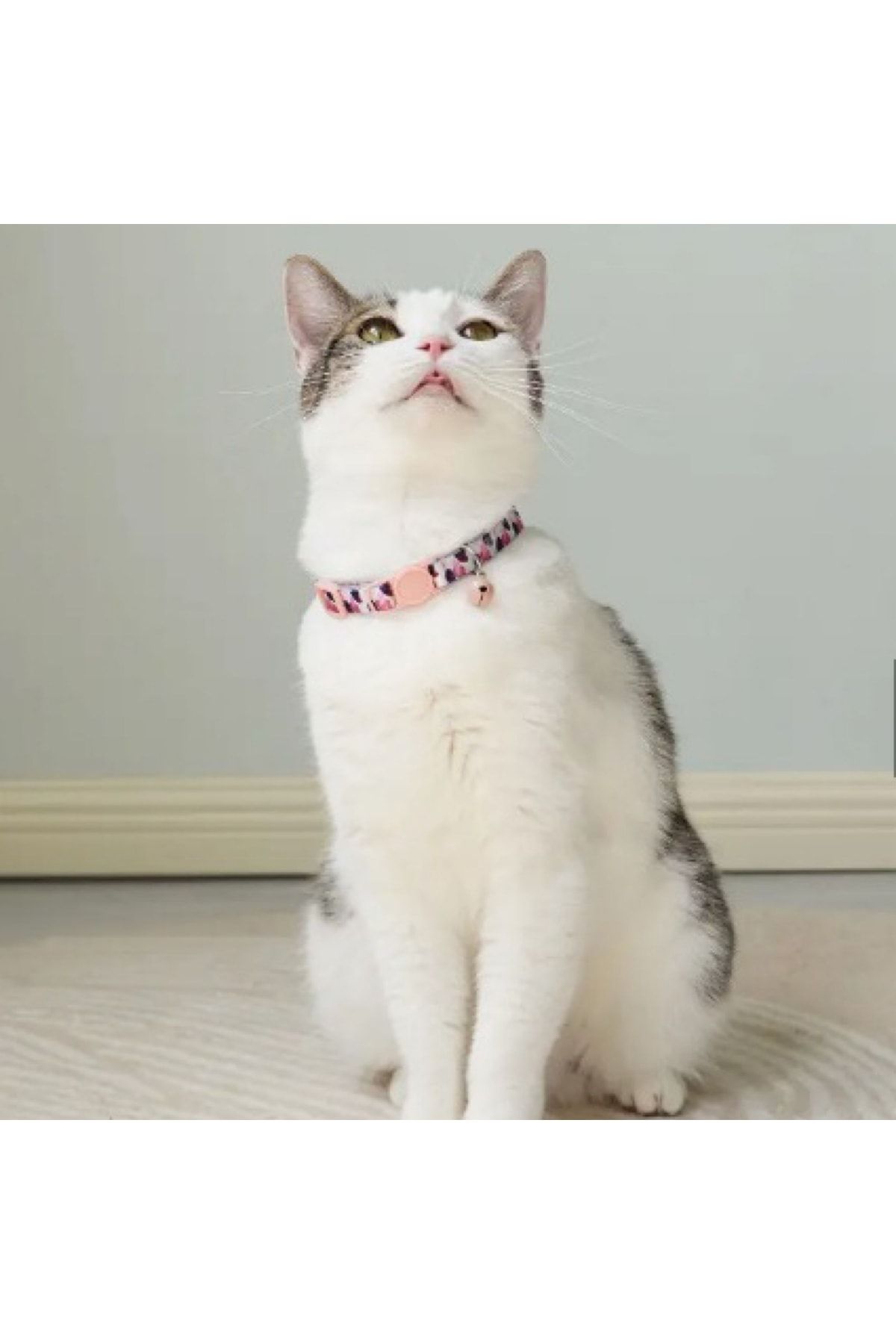 Küçük Çan Ile Sevimli Kedi Tasmaları küçük resim 2