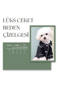 Evcil Hayvan Kıyafeti Gömlek Lüks Ceket Kedi ve Köpek Giysileri Siyah