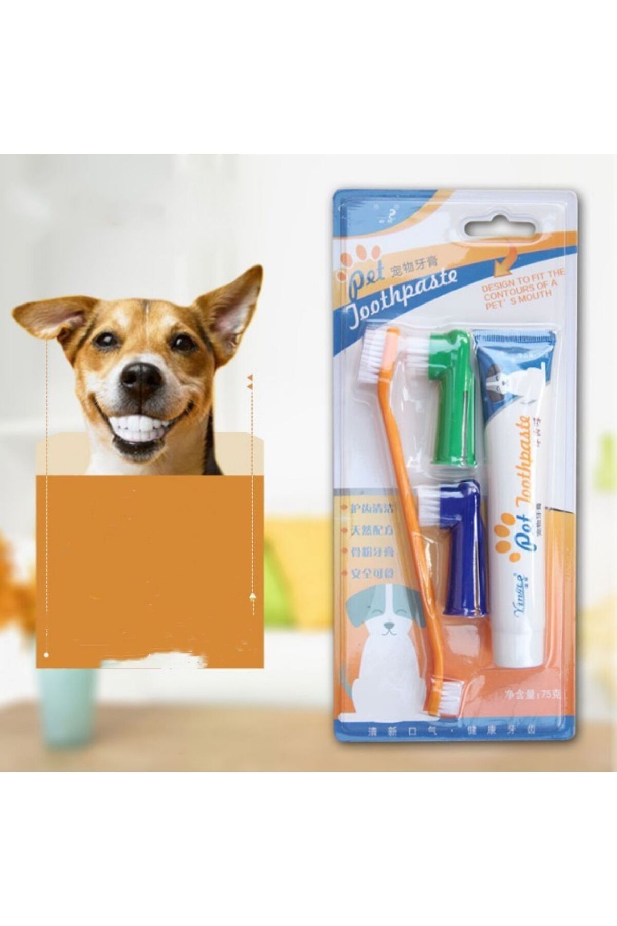 Kedi Ve Köpek Biftek Aromalı Diş Macunu Ve Diş Fırçası Evcil Hayvan Diş Bakım Seti Yumuşak küçük resim 2