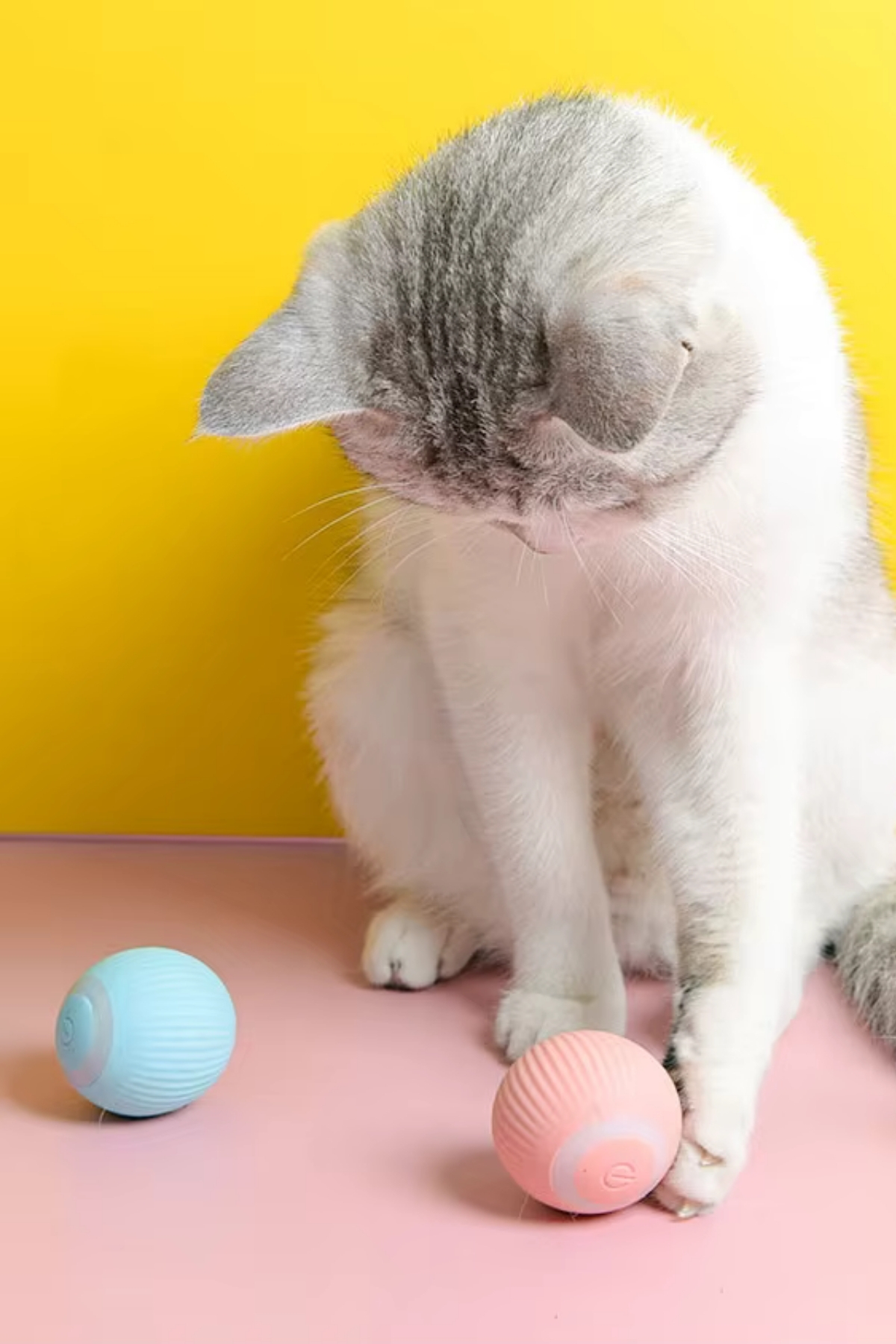 Interaktif Şarjlı Kedi Köpek Topu, Led Akıllı Kedi Topu, Kendinden Hareketli 360 Kedi Oyuncağı