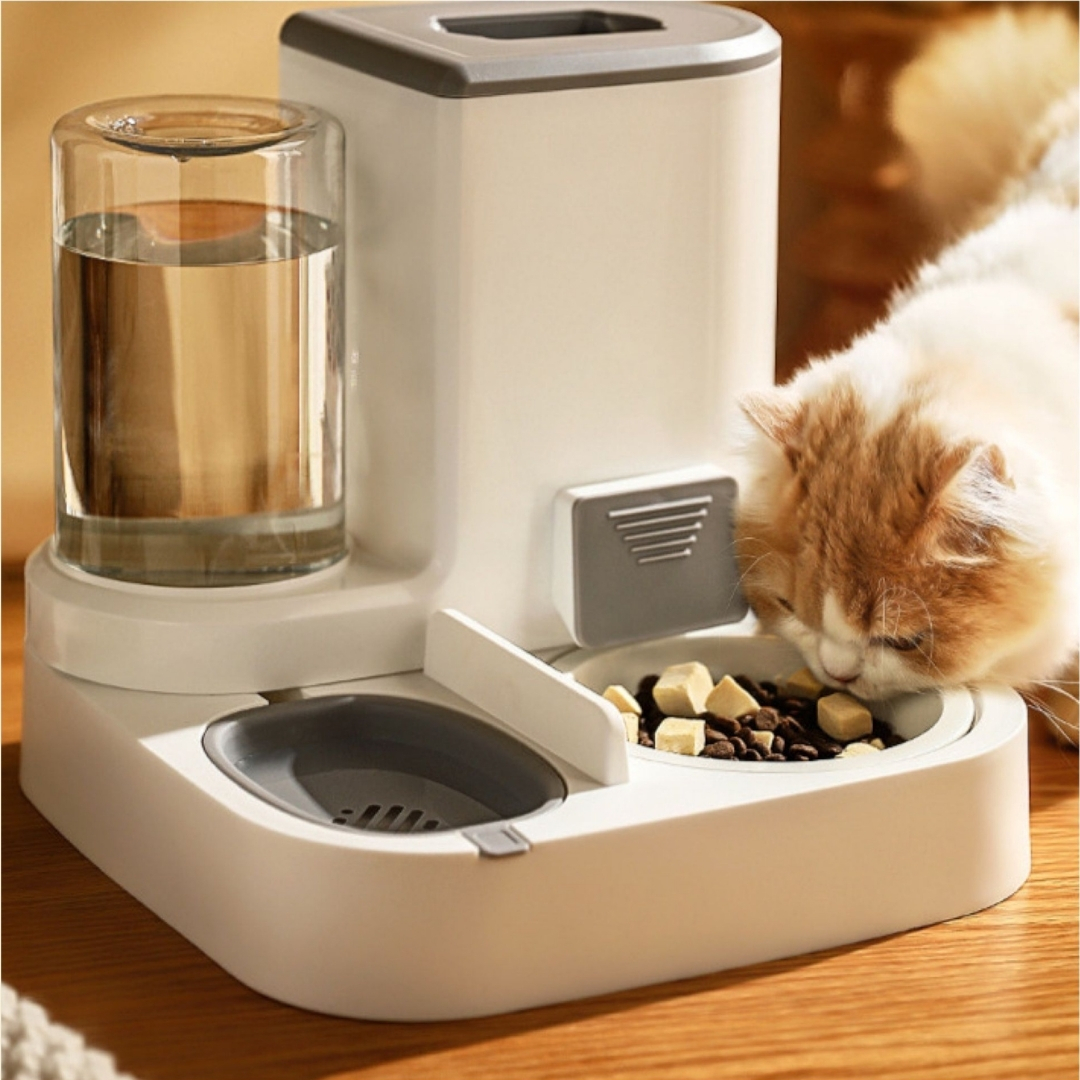 Seramik Kaseli Evcil Hayvan Kedi Köpek Mama Ve Su Kabı