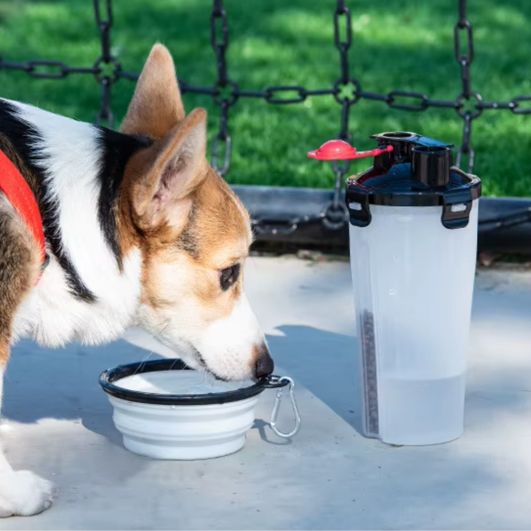 Katlanabilir Kaseli Yeni Seyahat Kedi, Köpek Mama ve Su Şişesi